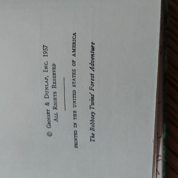 The Bobbsey Twins' Forest Adventure - Picture 7 of 12